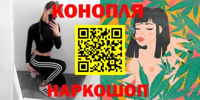 spice Моздок