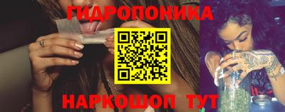 сатива Можга
