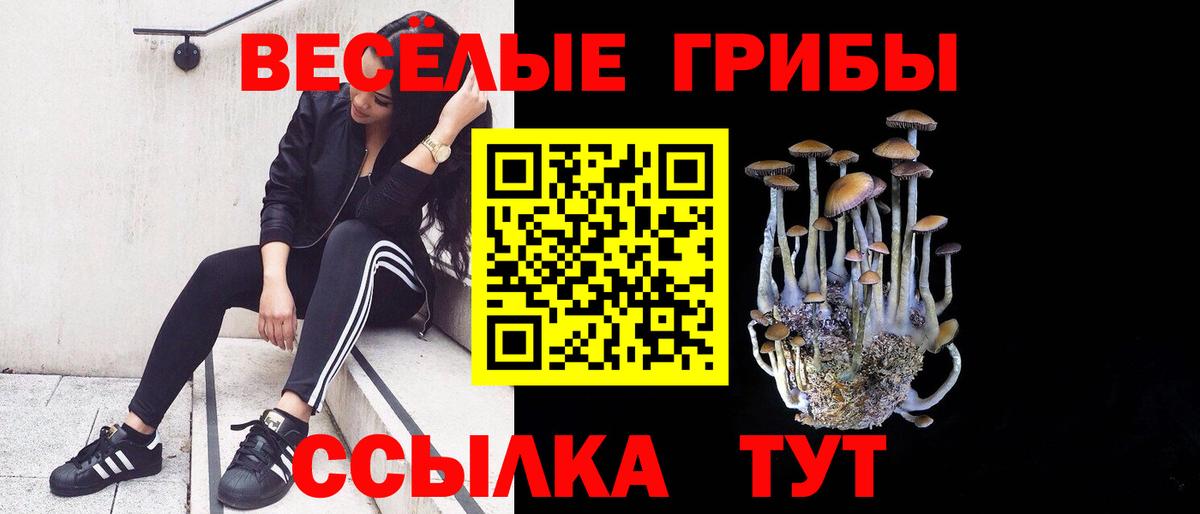 Галлюциногенные грибы Psilocybine cubensis  Вход с VPN  Ставрополь  Галлюциногенные грибы Cubensis 