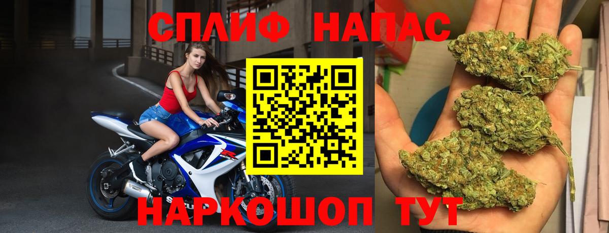 Канабис план Ставрополь